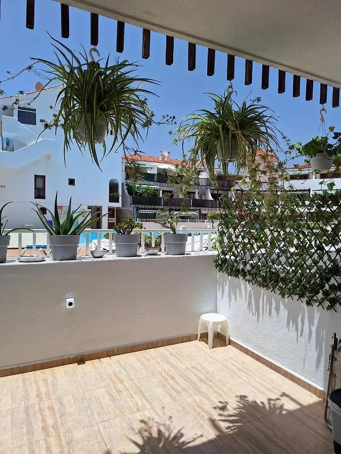 Ocean Breeze Apartment Costa Adeje   Costa Adeje (Tenerife)